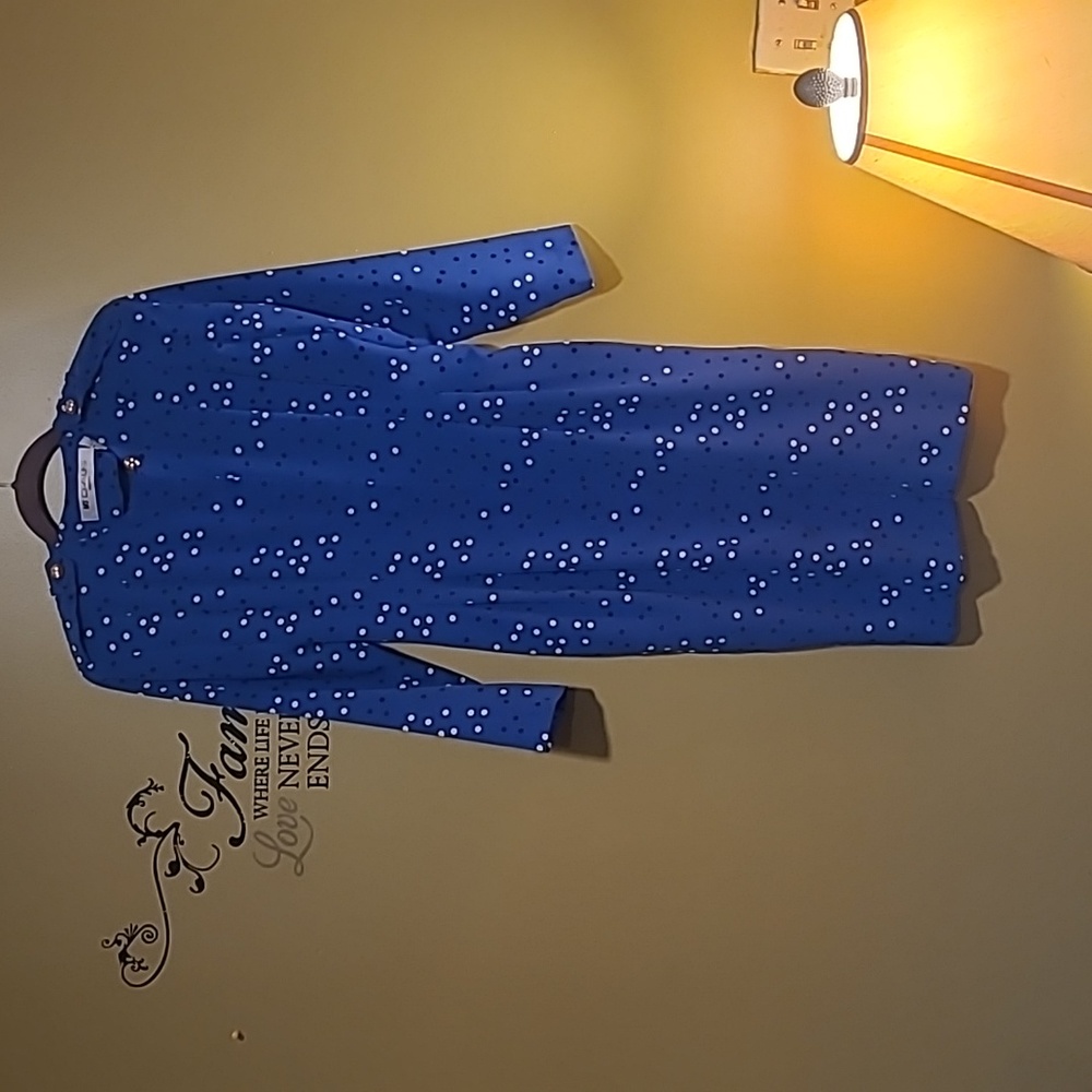 Ms Chaus Vintage Dress